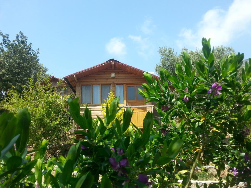 Hotel Olive Garden Kabak Faralya Exterior foto