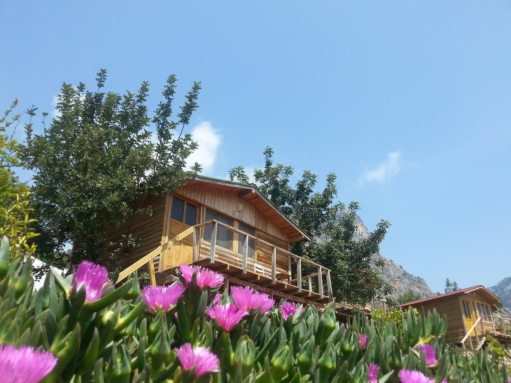 Hotel Olive Garden Kabak Faralya Exterior foto