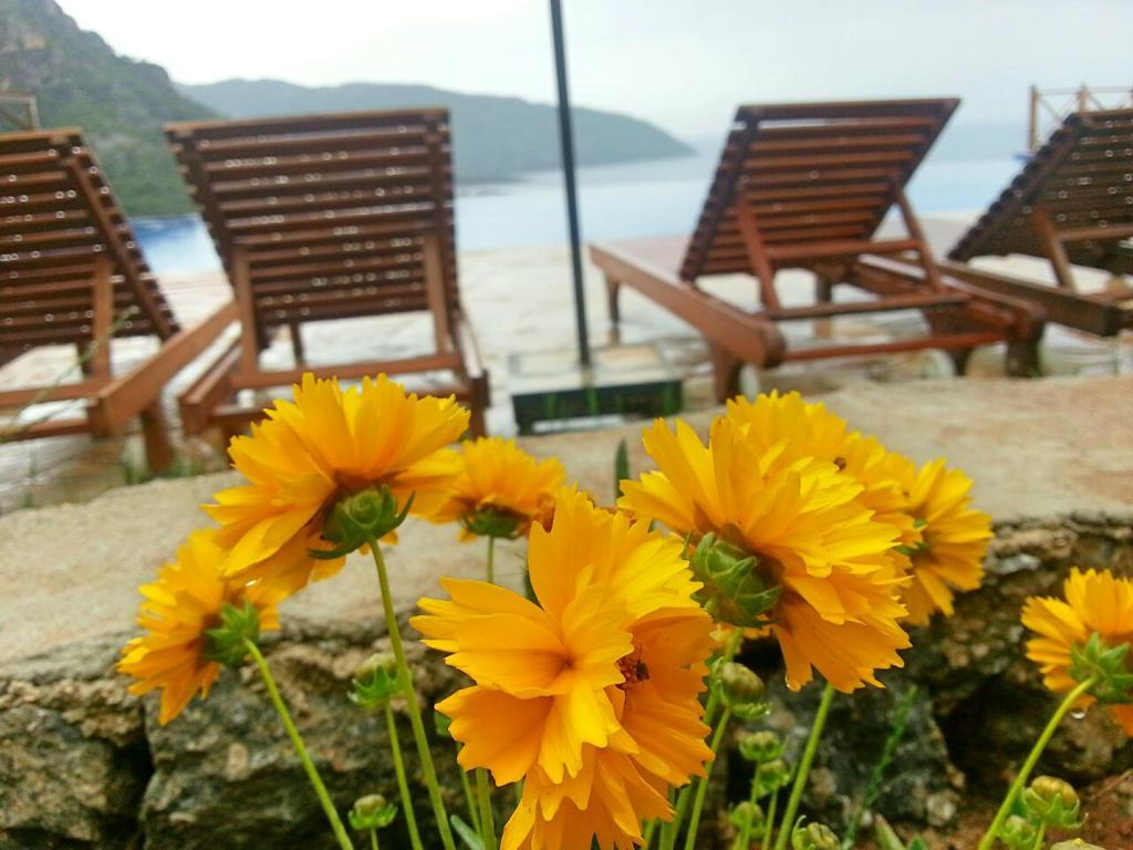 Hotel Olive Garden Kabak Faralya Exterior foto
