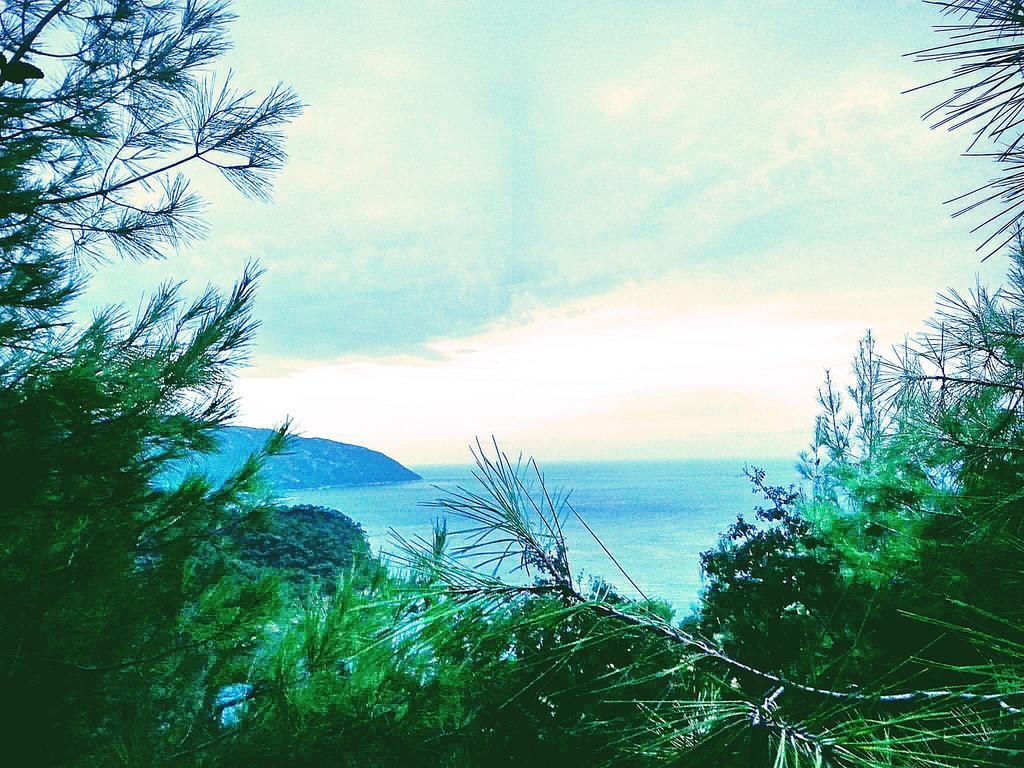 Hotel Olive Garden Kabak Faralya Exterior foto