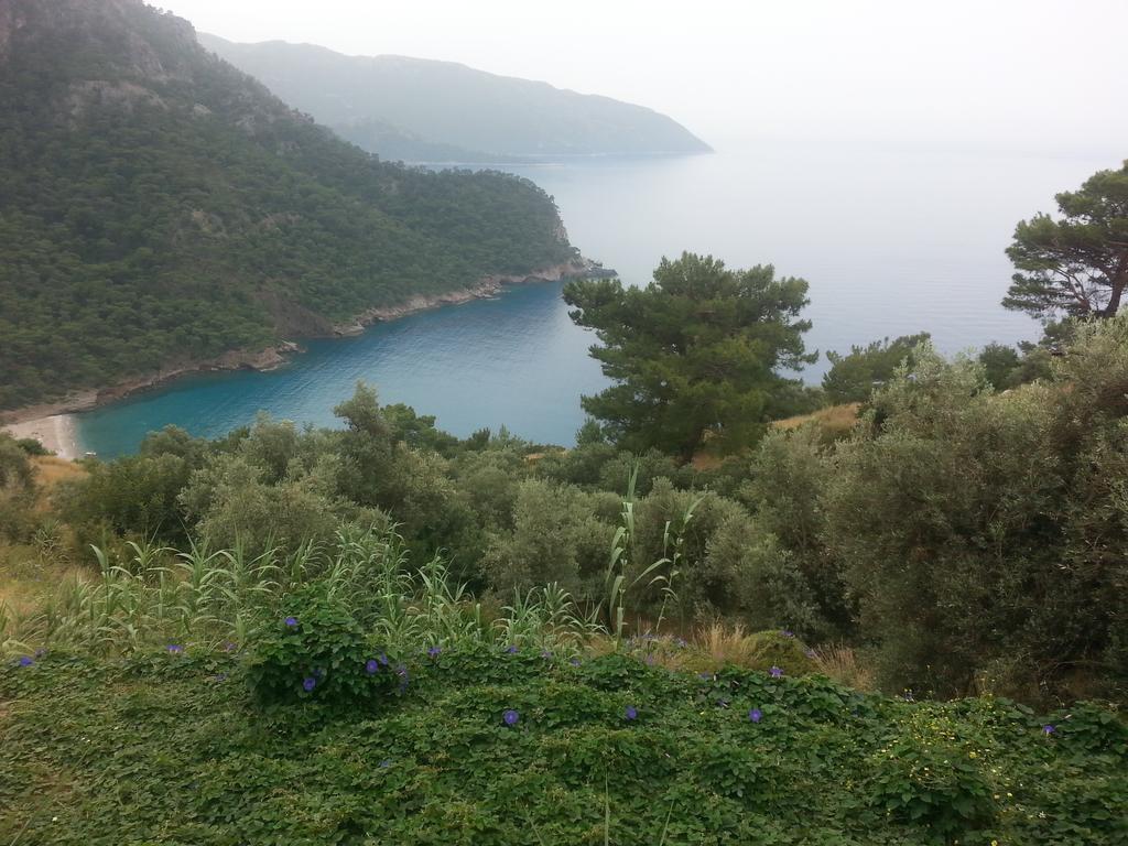 Hotel Olive Garden Kabak Faralya Exterior foto
